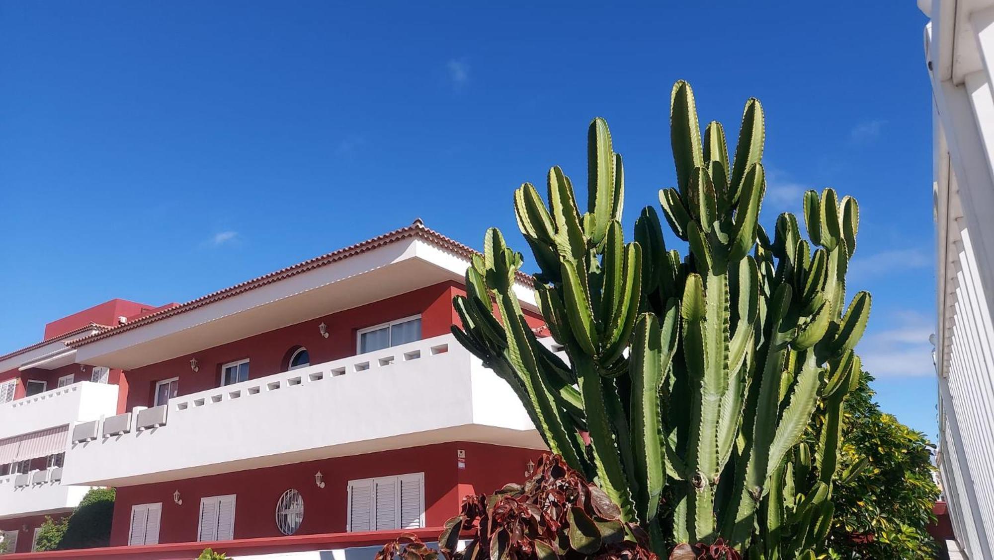 Rdg Home Puertito de Guimar Dış mekan fotoğraf